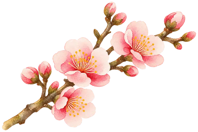 水彩の梅の枝